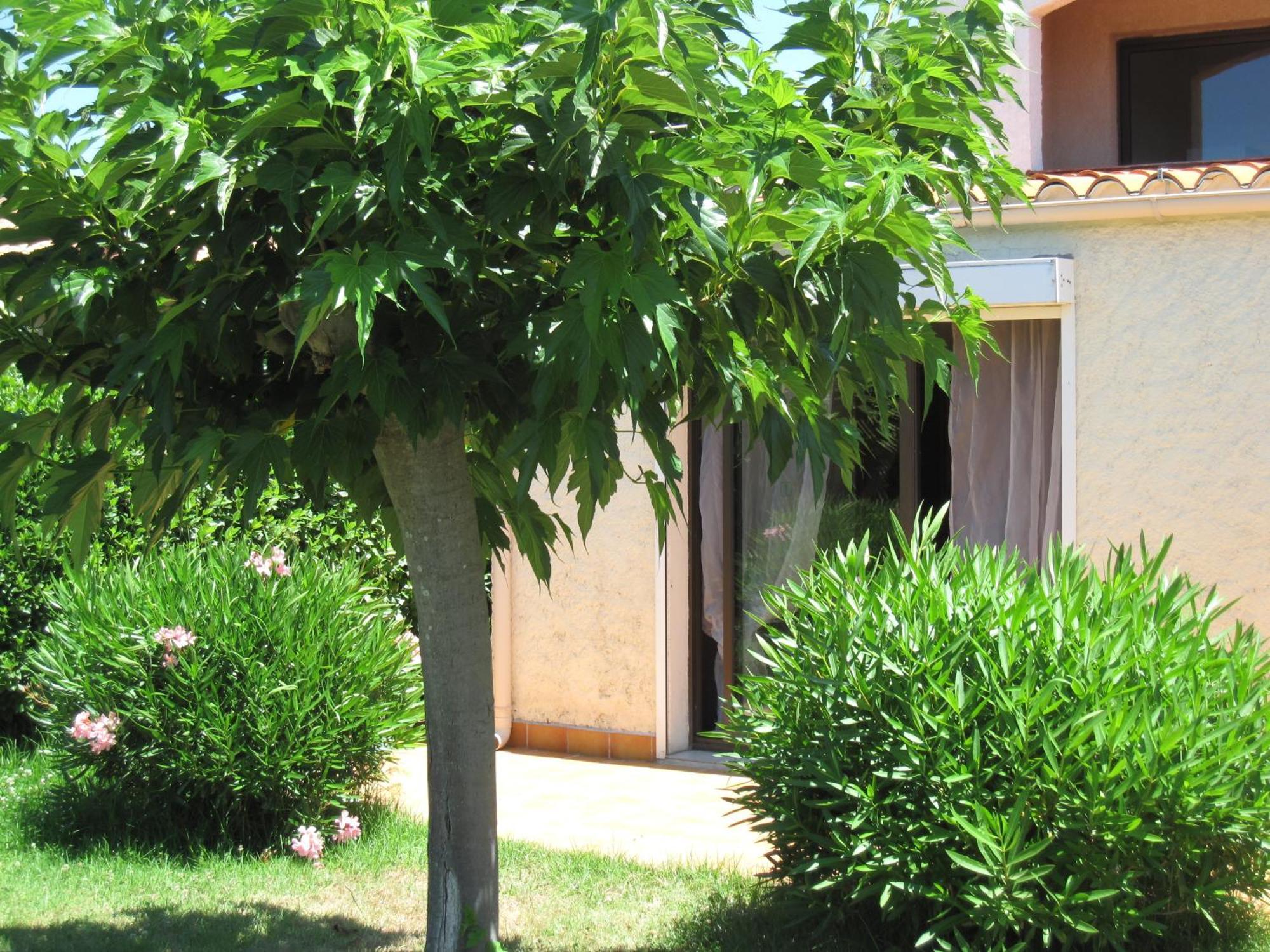 Residence Les Bell'Ombres Cargèse Exterior foto